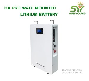 HA PRO WALL MOUNTED LITHIUM BATTERY